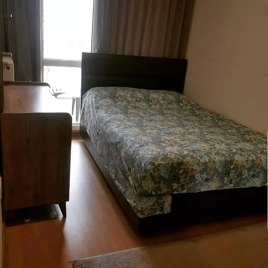 Spacious One Bedroom Apartment Istanbul Turkiet