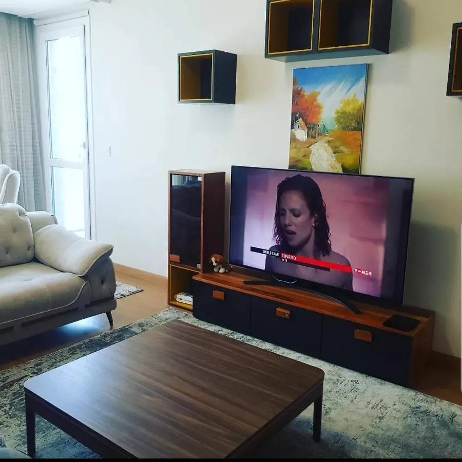 Spacious One Bedroom Apartment Istanbul