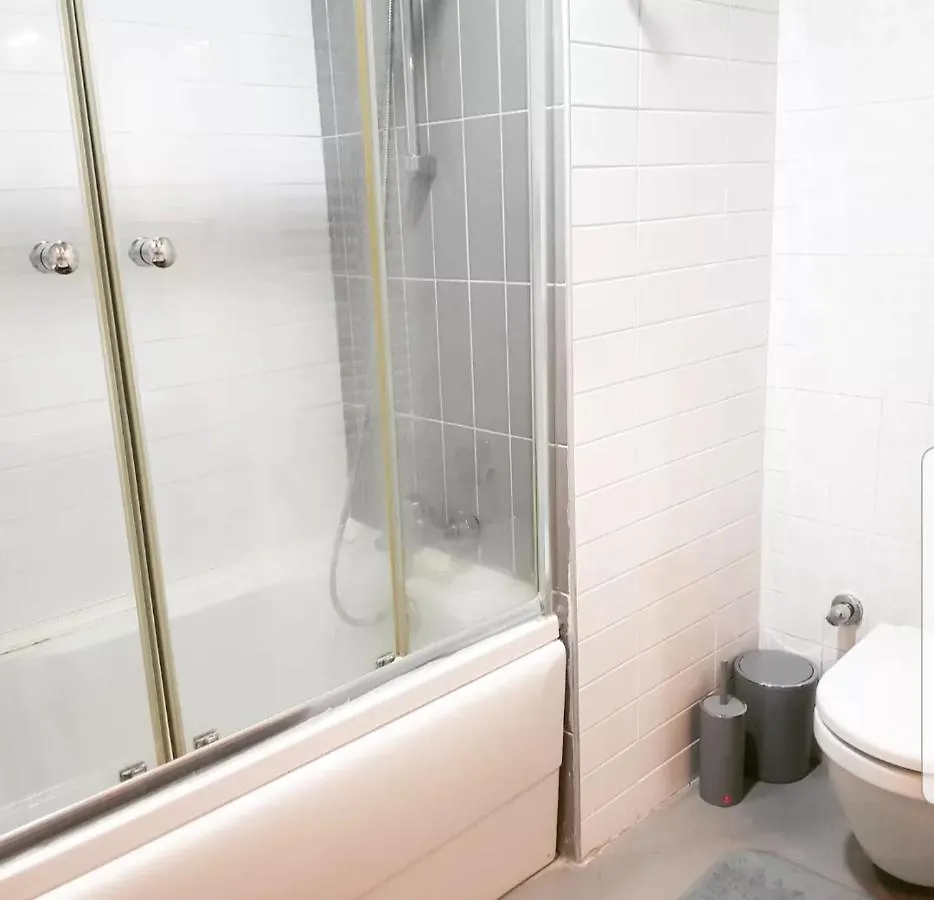 Spacious One Bedroom Apartment Istanbul 0*,