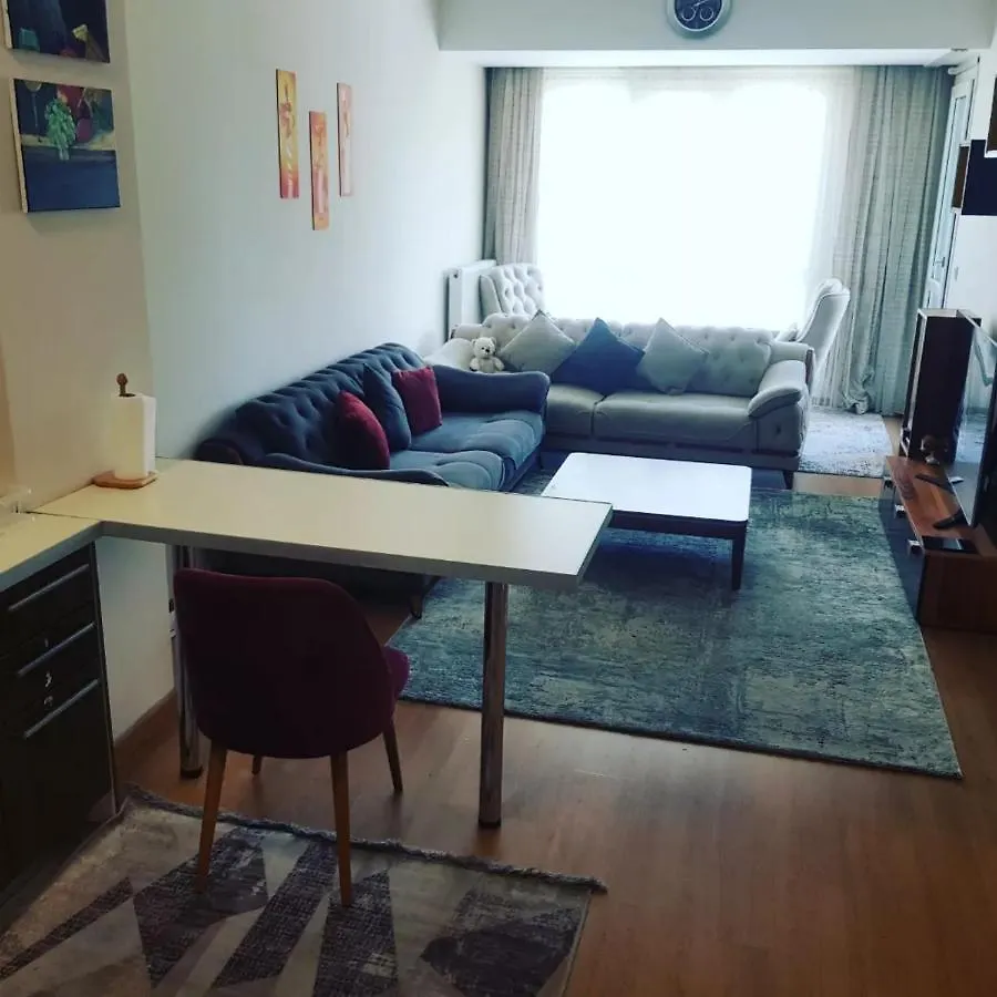 Spacious One Bedroom Apartment Istanbul 0*,
